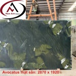 TRANH ĐÁ ĐỐI XỨNG AVOCATUS